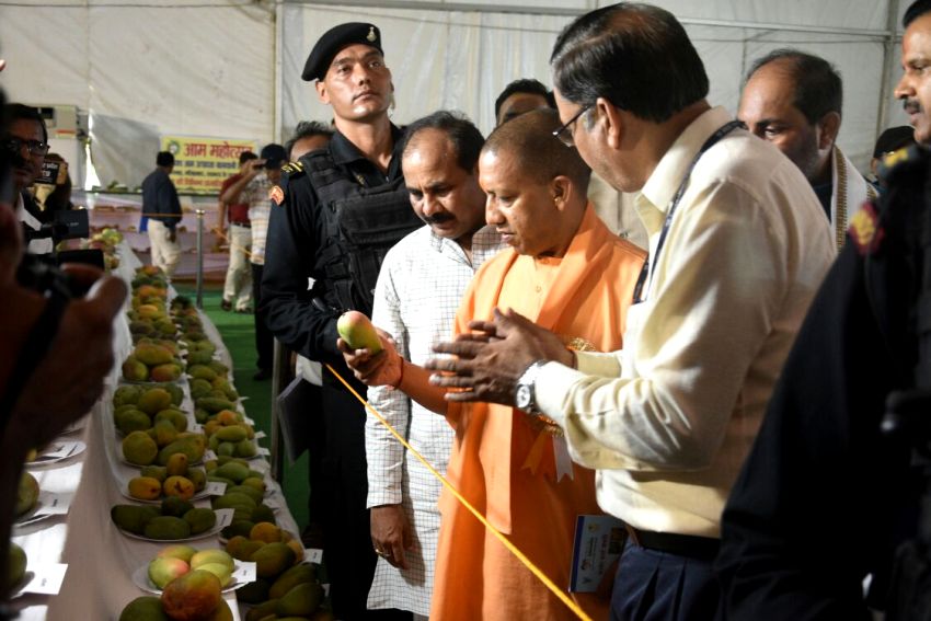 UPCM लखनऊ के इंदिरा गांधी प्रतिष्ठान में आयोजित 'उत्तर प्रदेश आम महोत्सव-2018' में लगाए गए स्टॉल्स का अवलोकन करते हुए