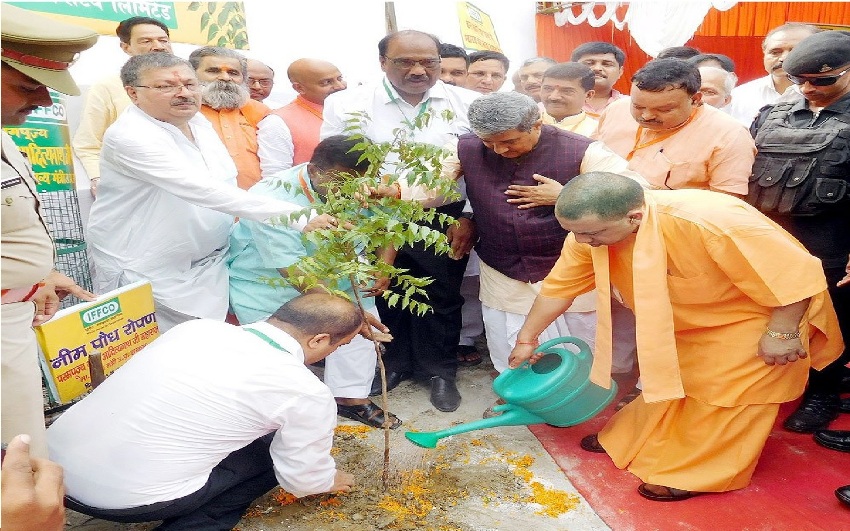 UPCM ने गोरखपुर में कुसमही वन और जिला सहकारी फेडरेशन कम्पाउण्ड में वृक्षारोपण किया