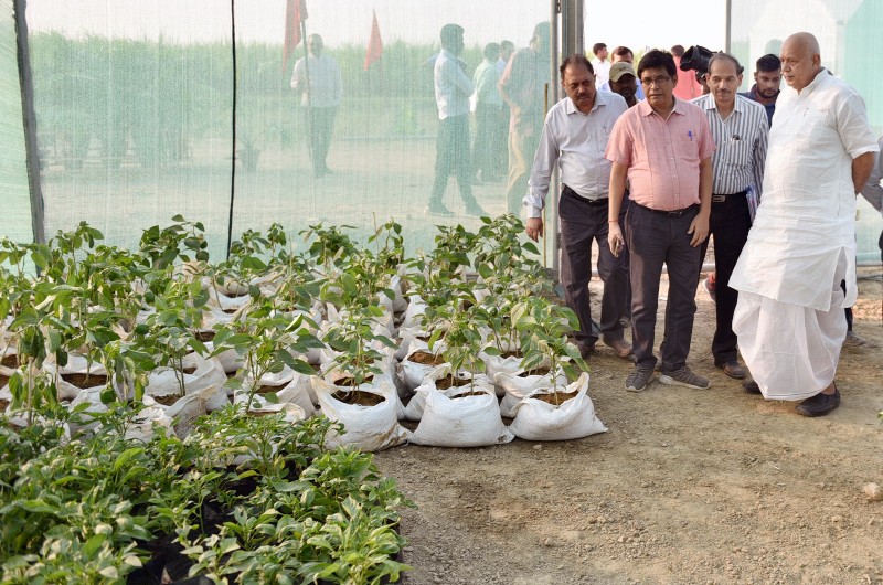 UPCM मंत्रिमंडल के कृषि मंत्री 'कृषि कुम्भ मेले' का स्थलीय निरीक्षण करते हुए