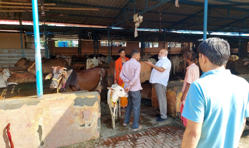 भ्रष्टाचार की भेंट चढ़ रही योगी सरकार की सरकारी गौशालायें : देवेंद्र तिवारी