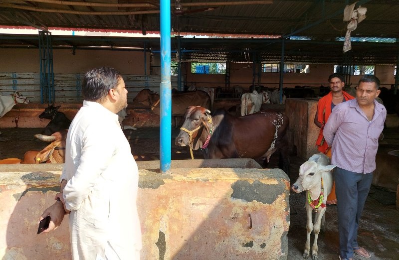 भ्रष्टाचार की भेंट चढ़ रही योगी सरकार की सरकारी गौशालायें : देवेंद्र तिवारी